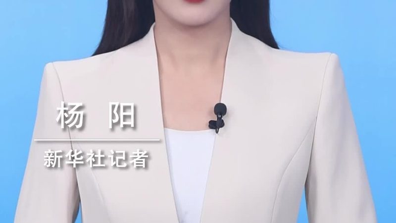 学校信息化教学平台搭建的关键要素**
